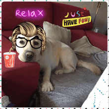 a dog wearing glasses is laying on a couch with the words relax just have fun above it