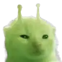 a green kitten with antennas on its head is looking at the camera .