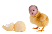 a baby in a chicken costume stands next to an egg shell