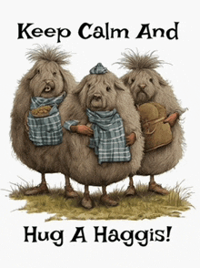 a poster that says keep calm and hug a haggies