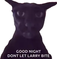 a black cat with the words good night dont let larry bite