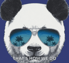 a panda bear wearing sunglasses has the words that 's how we do below it