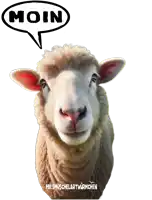 a sheep with a speech bubble that says moin above it