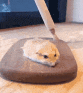 a hamster is laying on a wooden cutting board with a brush .