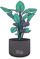 a drawing of a plant in a pot with the word feey on it