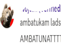 a picture of a bear with a red scarf around its neck and the words " ambatukam lads " on the bottom