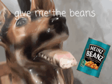 a picture of a dog next to a can of heinz baked beans