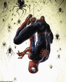 spider-man is hanging upside down in a web with spiders around him