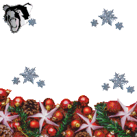 a picture of christmas decorations and snowflakes with a bear head