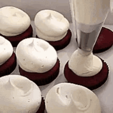 a box of red velvet cupcakes with white frosting being poured on top .