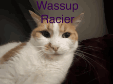 a close up of a cat with the name wassup racier written above it