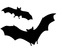 two bats are silhouetted against a white background