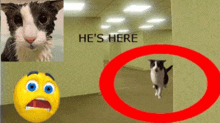 a picture of a cat and a yellow smiley face with the words `` he 's here ''