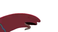 a cartoon drawing of a red glove with a blue band around it