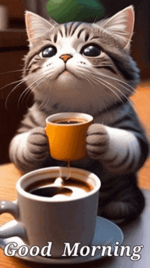 a cat is holding a cup of coffee on a saucer on a table .