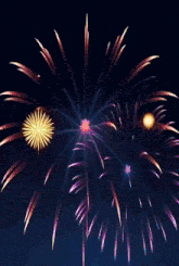 a fireworks display with the words happy new year 2020