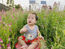 a baby sitting in a field of pink flowers