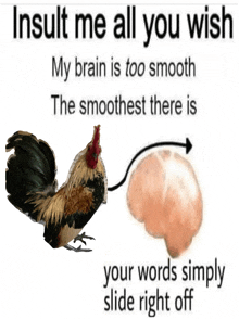 insult me all you wish my brain is too smooth the smoothest there is your words simply slide right off poster