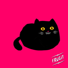 a black cat with yellow eyes is on a pink background with the word frucit underneath it