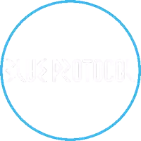 a blue circle with the words blue protocol written inside of it