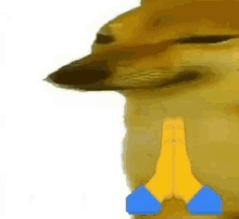 a cheems dog is holding its hands together in a praying position .