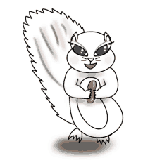 a cartoon drawing of a white squirrel holding a peanut