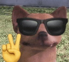 a dog wearing sunglasses and a yellow hand is giving a peace sign .