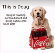 a dog is carrying a box of coca-cola bottles