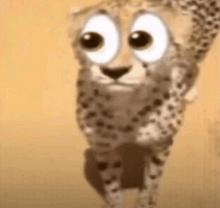 a close up of a cheetah with big eyes walking on a yellow background .