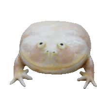 a white frog with big eyes and a smiley face on a white background