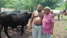 a man and a woman are posing for a picture in front of cows