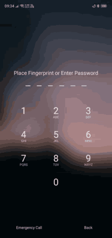 a phone screen shows a fingerprint or enter password screen