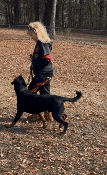 a woman is walking a black dog in a park