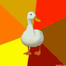 a white duck is standing in front of a colorful background .