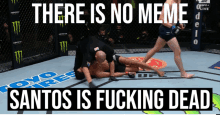 a poster that says " there is no meme " and " santos is fucking dead "