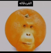 an orange with a monkey face and arabic writing