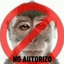 a picture of a monkey with a red circle around it and the words `` no autorizo '' .