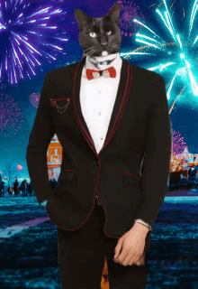 a cat wearing a tuxedo and bow tie stands in front of fireworks