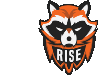 a logo of a raccoon with the word rise underneath it