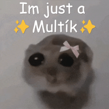 a hamster with a bow on its head and the words i 'm just a multik