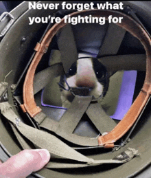 a picture of a cat in a helmet with the caption never forget what you 're fighting for