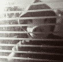 a black and white photo of a man behind blinds