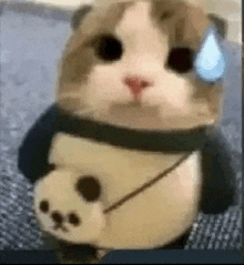 a cat dressed as a panda bear is sitting on a carpet .