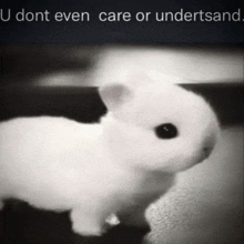 a black and white photo of a small white rabbit with the words " u dont even care or understand " above it