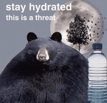 a black bear standing next to a bottle of water with the words " stay hydrated this is a threat " above it