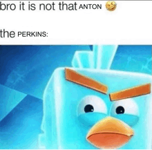 a cartoon angry bird is looking at the camera with a caption that says bro it is not that anton the perkins .