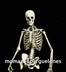 a skeleton is standing in front of a black background with the words momazos parguelone written on it .