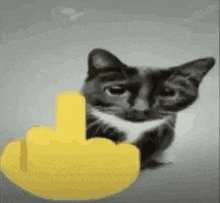 a black and white cat is giving the middle finger to a yellow emoji .