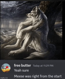 a picture of a wolf sitting under a tree with the caption free butter today at 11:29 pm