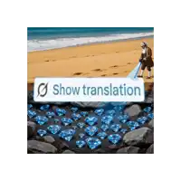 a man standing on a beach next to a sign that says show translation on it